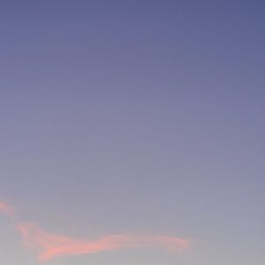 Meet your Posher, Maya